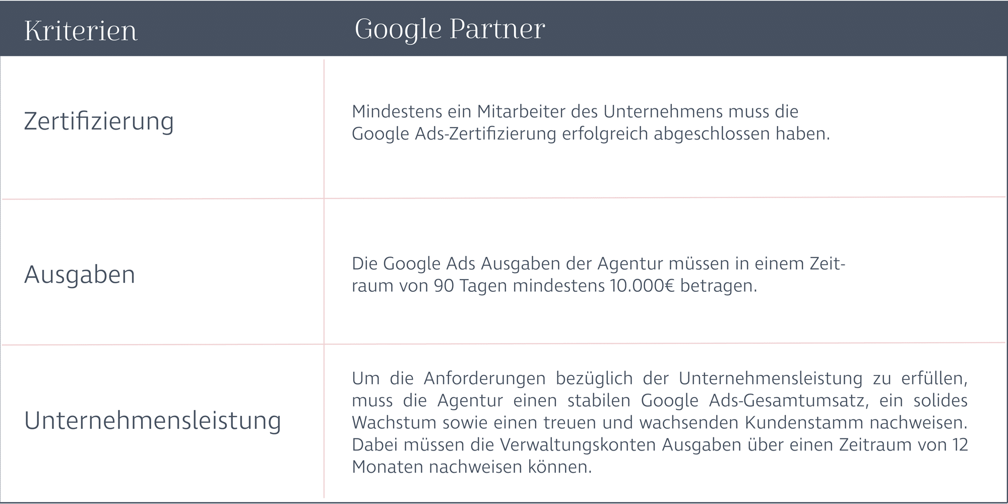 Designstuuv Google Partner Vorraussetzungen