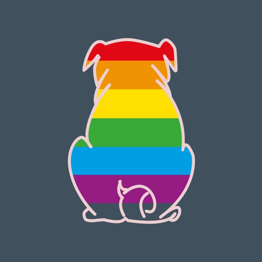 Pride Month Regenbogen Mops