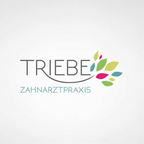 treibe-Zahnarztpraxis-logo-referenz-designstuuv-werbeagentur