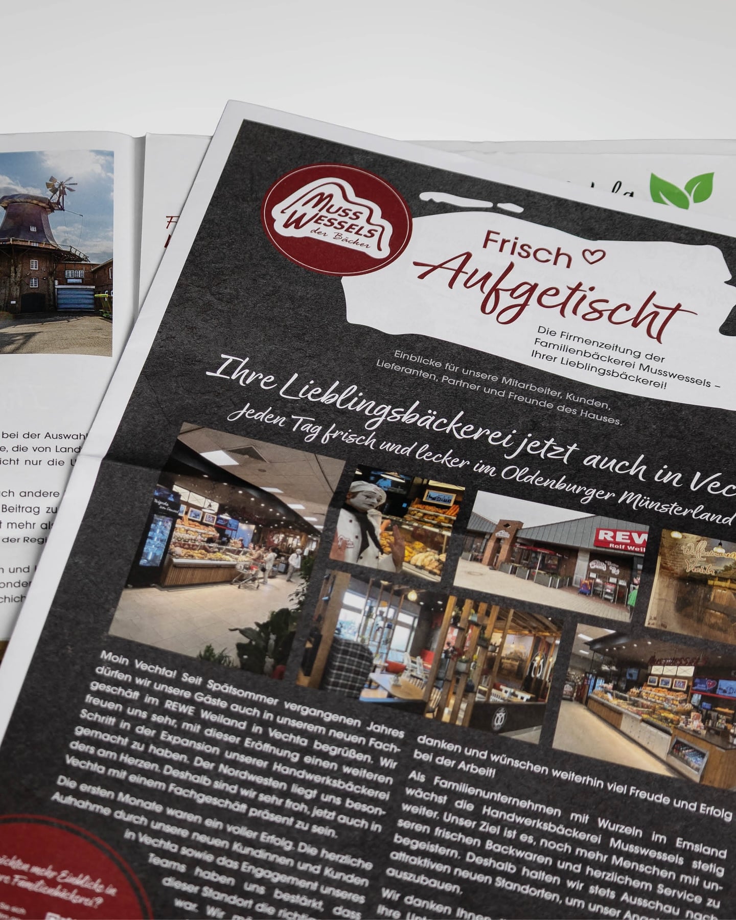 designstuuv_werbeagentur_1747408326_3633846875120194665_834835424