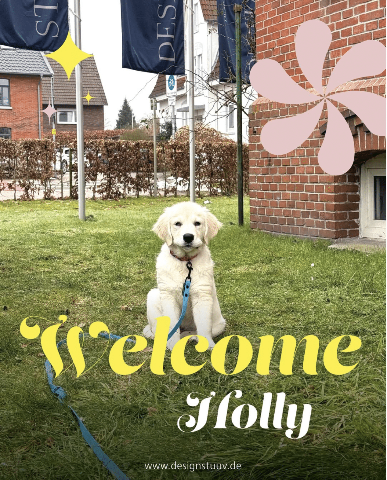 Bildschirmfoto 2026 02 24 um 15. 18. 25