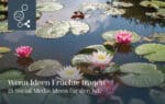 Blogbeitragsbild 15am15ten juli 2026