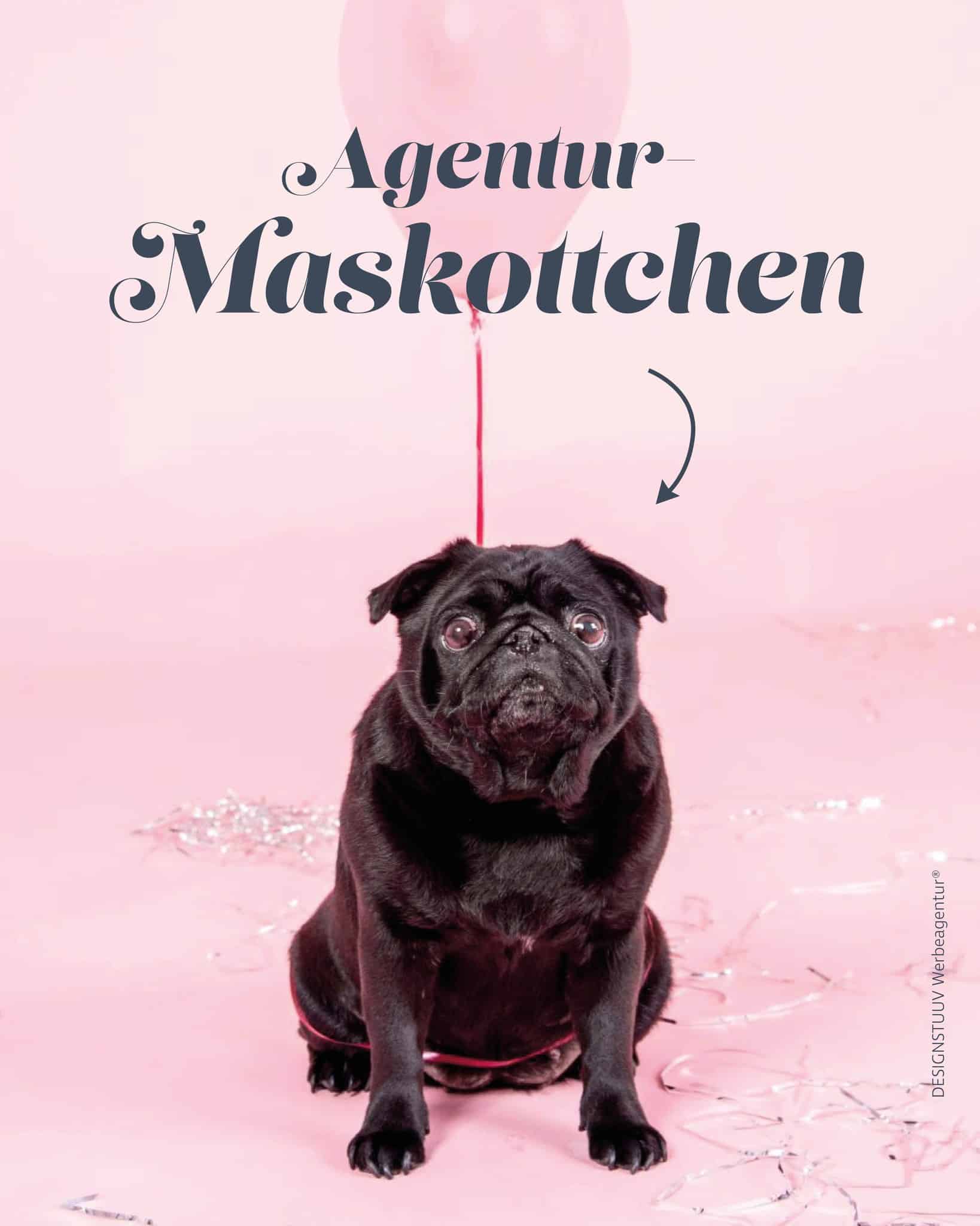 Designstuuv werbeagentur (15)