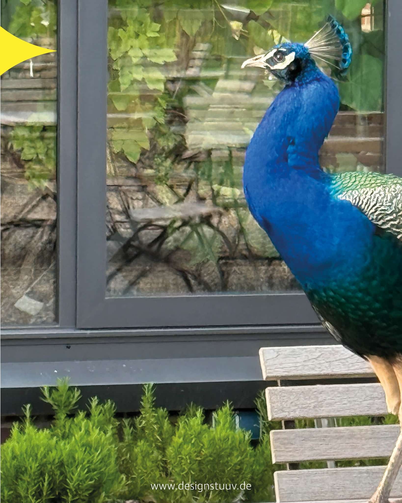Designstuuv werbeagentur (43)
