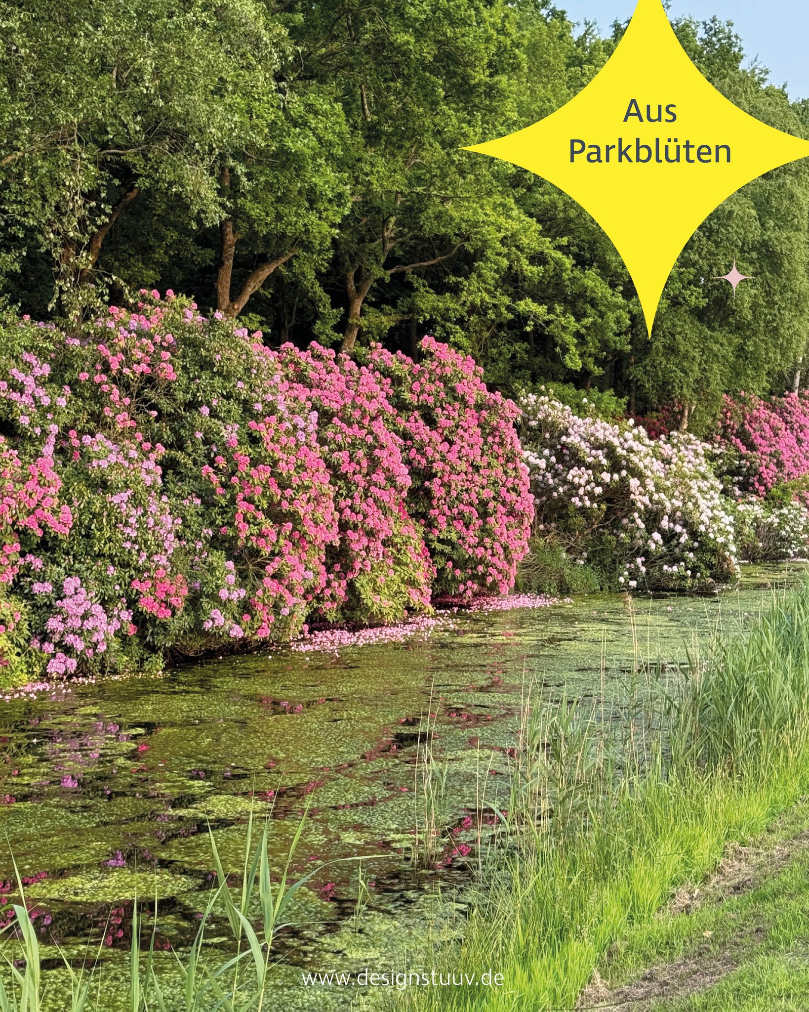 Designstuuv werbeagentur (48)