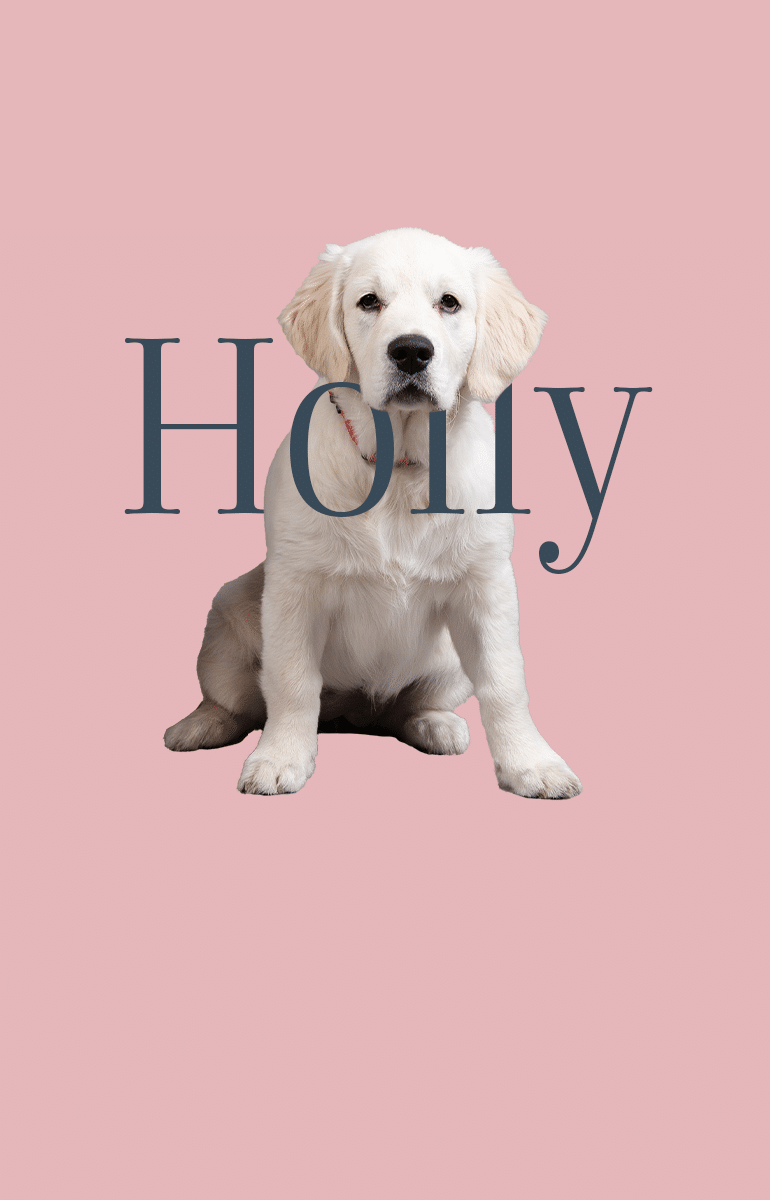 Wir holly rosa 2026