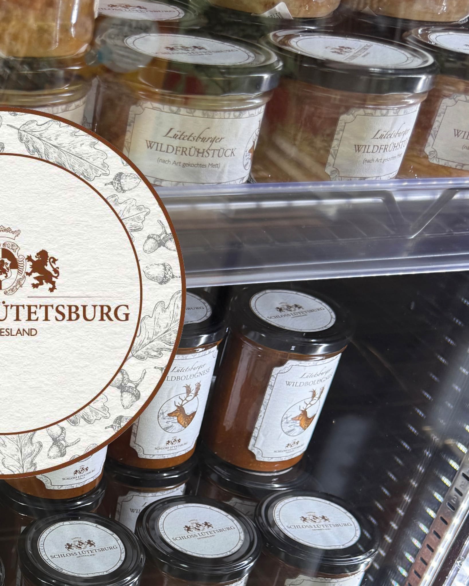 Designstuuv werbeagentur 1756821706 3712812024833535145 834835424