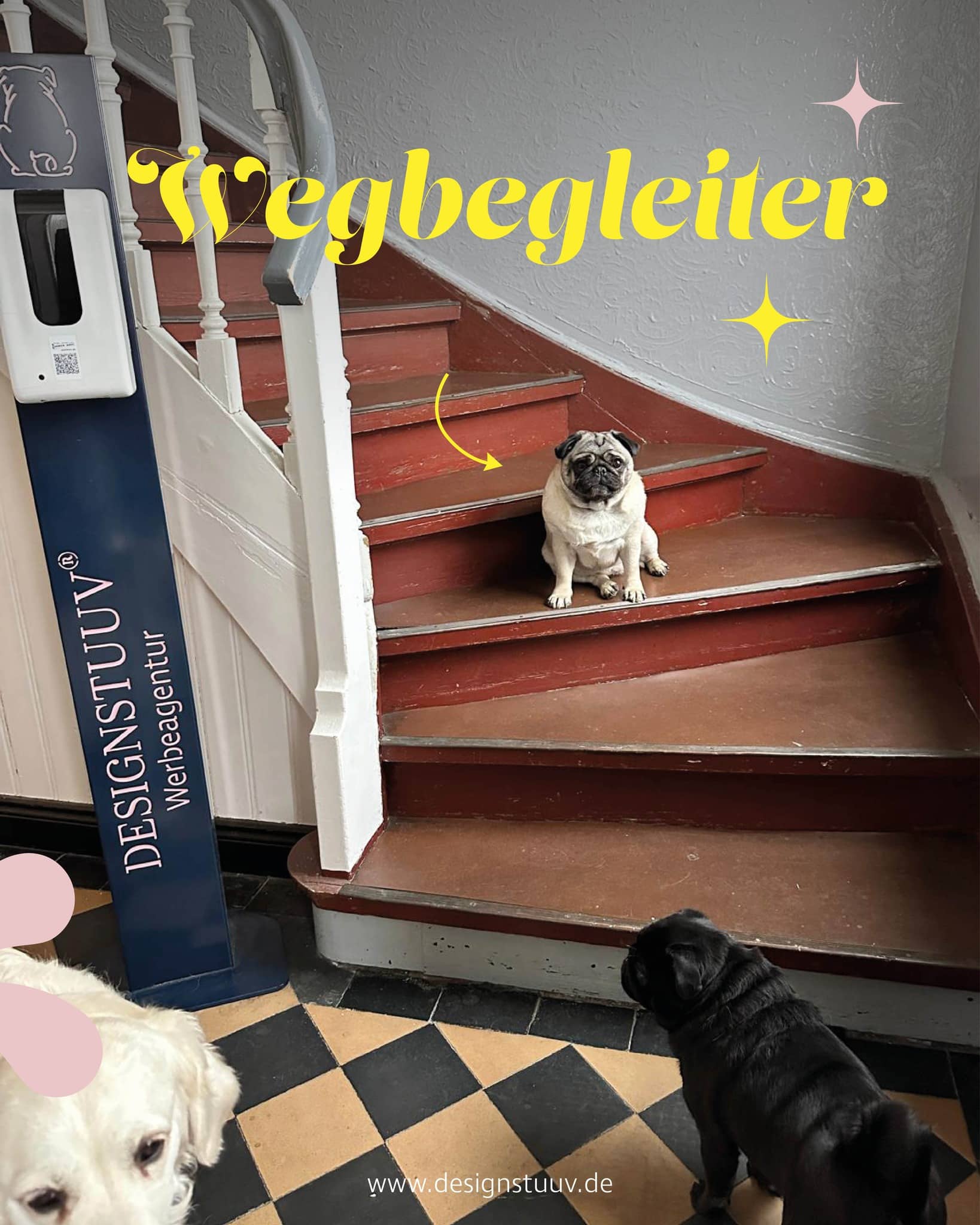 Designstuuv werbeagentur 1760547626 3744067302313632006 834835424