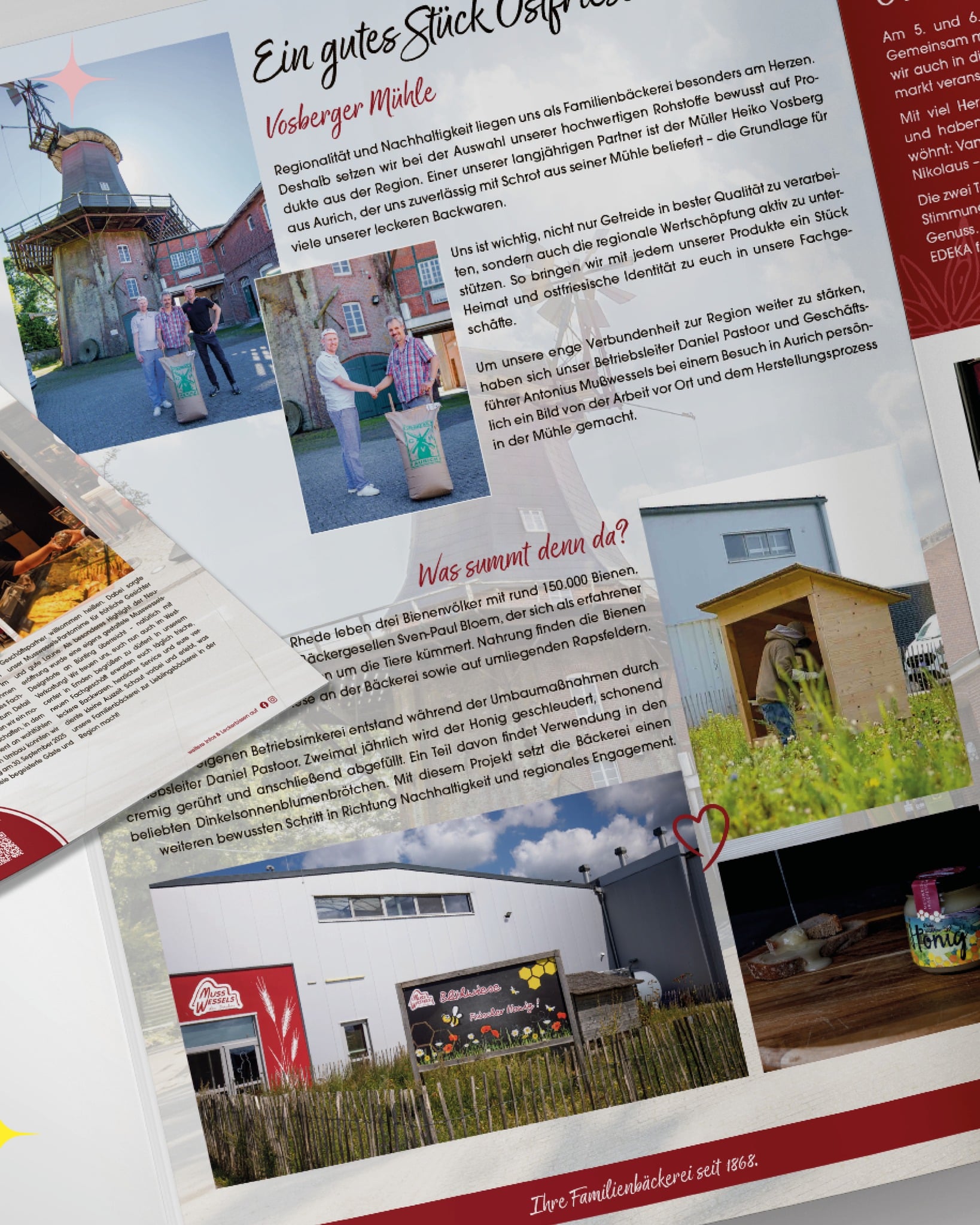 Designstuuv werbeagentur 1772200829 3841821461741064889 834835424